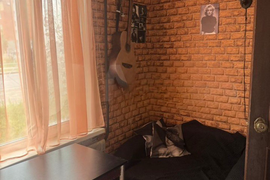 1-к. квартира, 24,4 м², 1/2 эт.