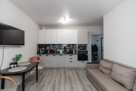 1-к. квартира, 43,9 м², 4/12 эт.