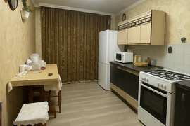 2-к. квартира, 50,4 м², 1/1 эт.