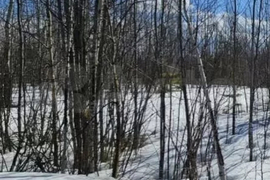 Участок 10 сот. (СНТ, ДНП)