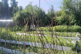 Зем.участок 10 сот