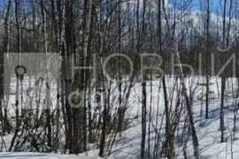 Участок 10 сот. (СНТ, ДНП)