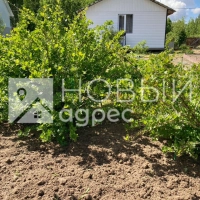 Дача 54 м² на участке 12 сот.