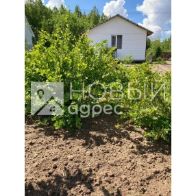 Дача 54 м² на участке 12 сот.