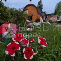 Участок 10 соток