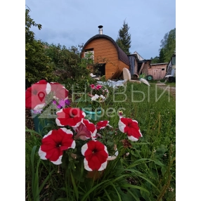 Участок 10 соток