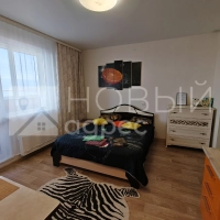 Студия 23.9 м² 2/9