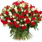 Шрейдер Татьяна